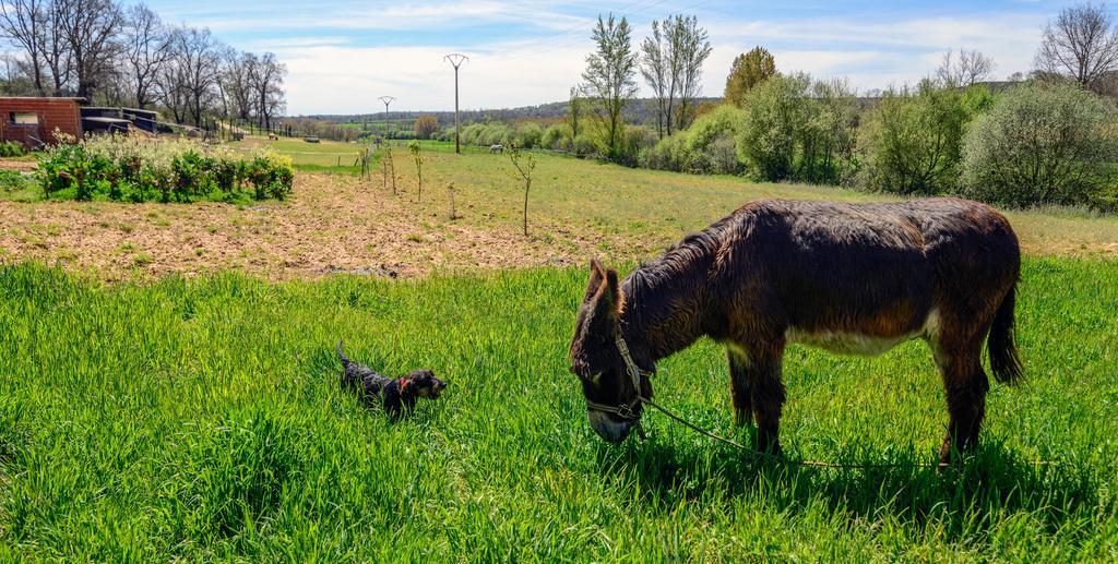 Hotel El Molino Congosta Zewnętrze zdjęcie